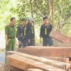 Công an đang làm rõ vụ bán tang vật giá thấp bất thường ở Đắk Lắk