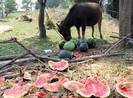 “Thứ trưởng thấy thế nào khi nhìn nông dân khóc?”