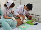 Đồng Nai: Người làm thuê bị bò tót rừng húc nát vai và chân