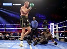 Wilder-Fury: Ngai vàng trả lại cho vua