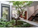 Bí quyết chọn cây xanh trong nhà
