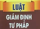 Bị bác yêu cầu bồi thường vì chọn giám định không đúng