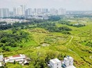 2 cựu lãnh đạo Công ty Tân Thuận bị bắt 