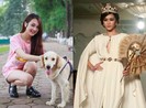 Ban tổ chức Nữ hoàng sắc đẹp Việt Nam bị tố bán giải thưởng