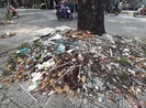 Những gốc cây 'nghẹt thở' bởi rác xà bần