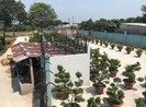 Tòa xử trả đất nhưng quên… chuồng bò