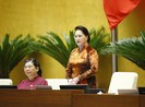 Còn lẩn khuất giấy phép con trong văn bản dưới luật