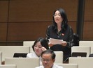 Đại biểu đề xuất 2 'phương thuốc' cho Chính phủ khoá tới