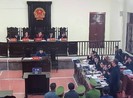 Vụ chạy thận: Luật sư nói chết do đầu độc có bị 'treo giò'?