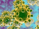COVID-19, tên gọi chính thức của virus Corona