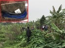 Bẫy chuột bằng điện làm chết người, chủ ruộng bị khởi tố