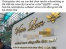 Chủ vườn lan đột biến nghi ‘ôm’ 11 tỉ đồng bỏ trốn