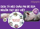 Dịch tả heo Châu Phi đe dọa nguồn thịt heo Việt