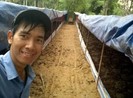 Giấc mơ phân trùn quế và nông nghiệp hữu cơ bền vững