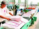 Xuất khẩu gạo “bế ngoại, tắc nội”