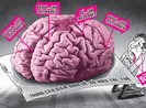 Tranh chấp phần mềm, ai giám định?
