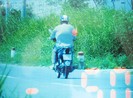 CSGT năn nỉ người vi phạm?