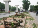 Từ chặt cây xanh Hà Nội đến lấp sông ở Đồng Nai