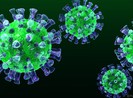 Giám sát chặt người nhập cảnh để ngăn chặn MERS-CoV
