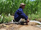 Nha Trang: Nhà máy nước bị đe dọa