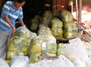 Măng luộc ế ẩm vì dân sợ vàng ô