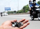Từ ngày 1-7, ‘đinh tặc’ hết đất sống