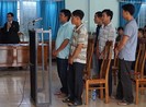 Tòa vẫn kết án vụ cưa gỗ khô trong rừng