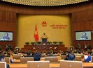 Chỉ ra những bất cập trong điều hành đất nước