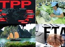 Mỹ không tham gia TPP, tác động ra sao tới Việt Nam?
