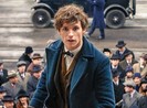 Eddie Redmayne: Sao bự của loạt phim phù thủy
