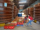 Nước mắm truyền thống lo sốt vó vì… muối iốt