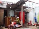 Tiêu điều, xơ xác sau mưa bão