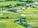 Con đường thiên lý của nước Việt