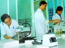 TP.HCM đề xuất chính sách đột phá tìm người giỏi