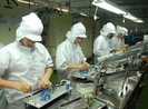 Làm gì để thu hút người tài đặc biệt cho TP.HCM?