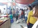 Chó thả rông ở Cần Thơ: Phường chỉ nhắc nhở là chính