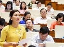 Đại biểu lo lắng tình hình tội phạm, đạo đức xuống cấp