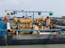 Ngăn ngừa tình trạng khai thác cát trái phép ở Cần Giờ