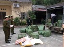 Lo Việt Nam thành bãi rác thịt heo, bò… bẩn