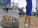 Mối nguy trên vỉa hè