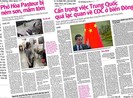 Vụ phở Hòa Pasteur bị tạt mắm tôm: Công an ở đâu?