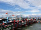 Tàu cá dưới 15 m không được ra khơi vì… hội nhập