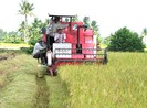 Bài toán ‘nông nghiệp thông minh’ cho miền Tây