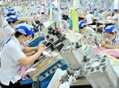 Vào EVFTA: Phải chủ động được nguyên liệu