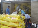 Nhiều vướng mắc về xuất khẩu gạo được tháo gỡ