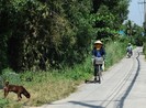 TP.HCM: Kiến nghị bỏ quy hoạch sử dụng đất