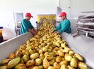 Việt Nam đặt mục tiêu vào nhóm nước nông nghiệp phát triển