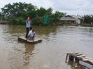 Trinh sát bất đắc dĩ trước trò gian của thương lái