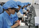 TP.HCM: Hợp tác, đồng hành với các nhà đầu tư Mỹ