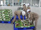 Nông sản Việt có thêm cơ hội mới